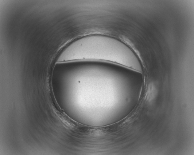 X0000062860249200601130955