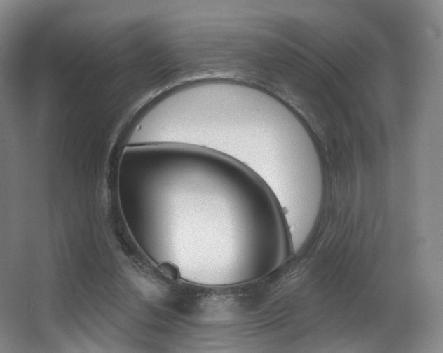 X0000062860252200601130955