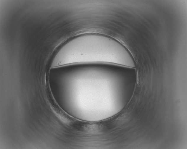 X0000062860253200601130955