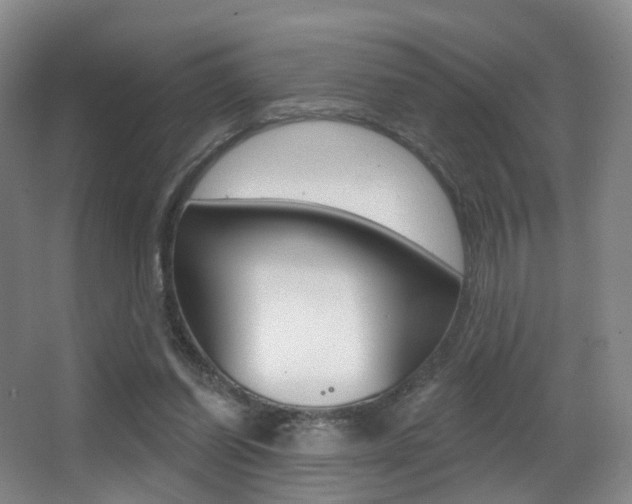 X0000062860254200601130955