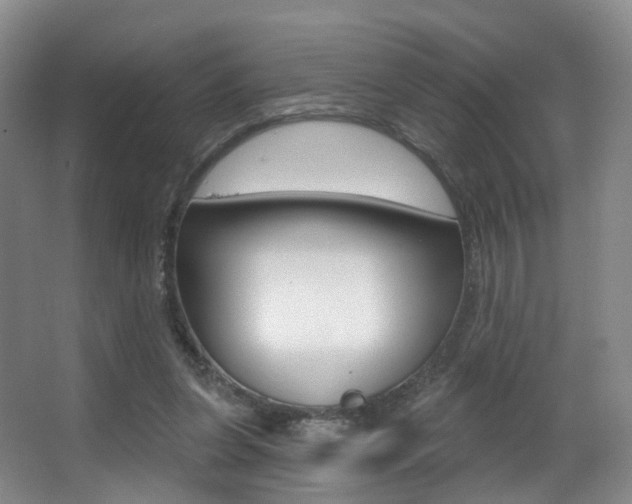X0000062860255200601130955