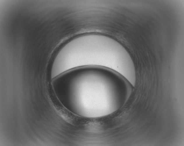 X0000062860256200601130955