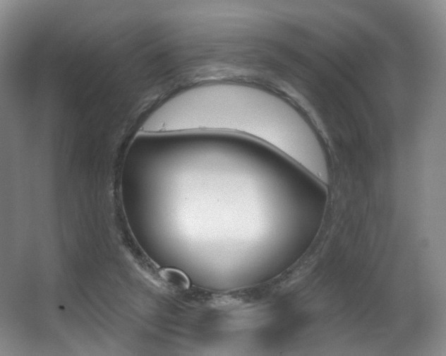 X0000062860257200601130955