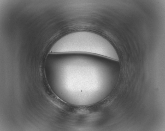 X0000062860258200601130955