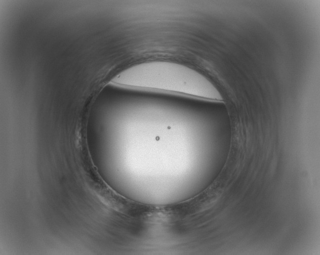 X0000062860259200601130955