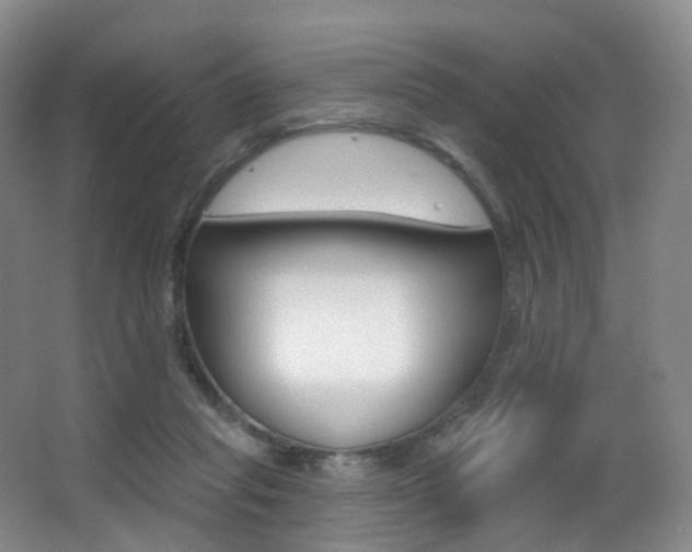 X0000062860261200601130955