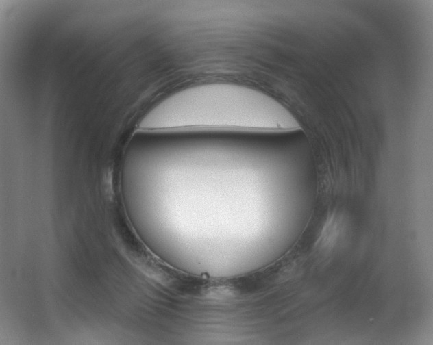 X0000062860262200601130955