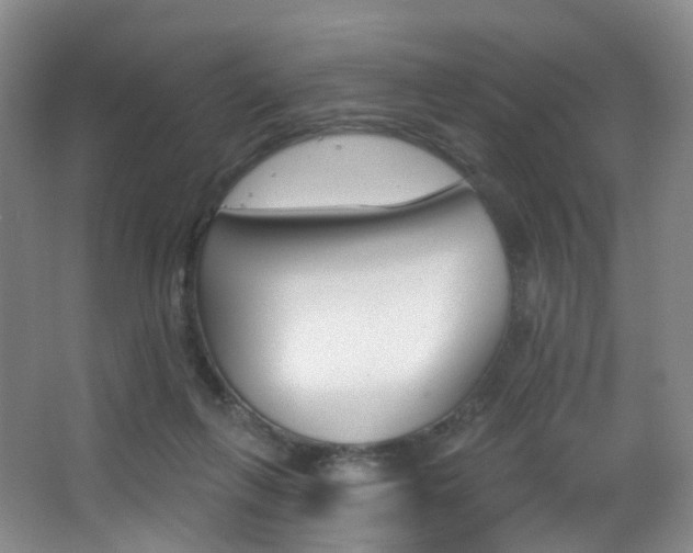 X0000062860263200601130955