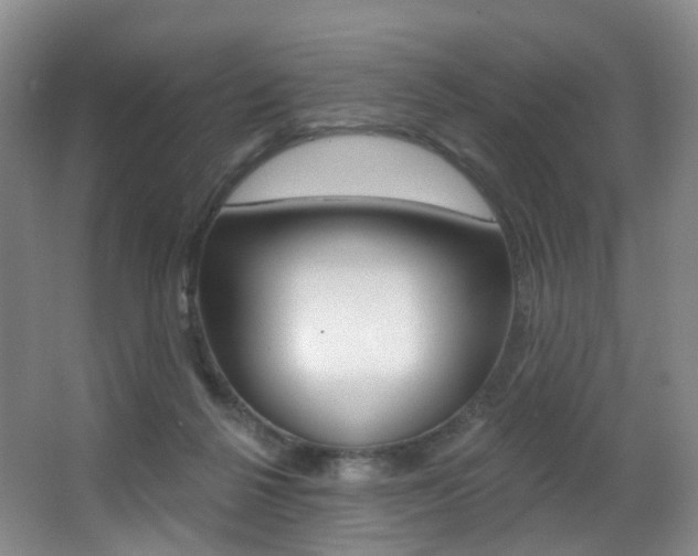 X0000062860264200601130955