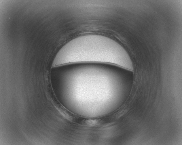 X0000062860265200601130955
