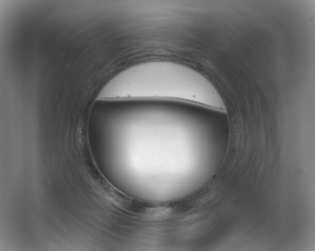 X0000062860266200601130955