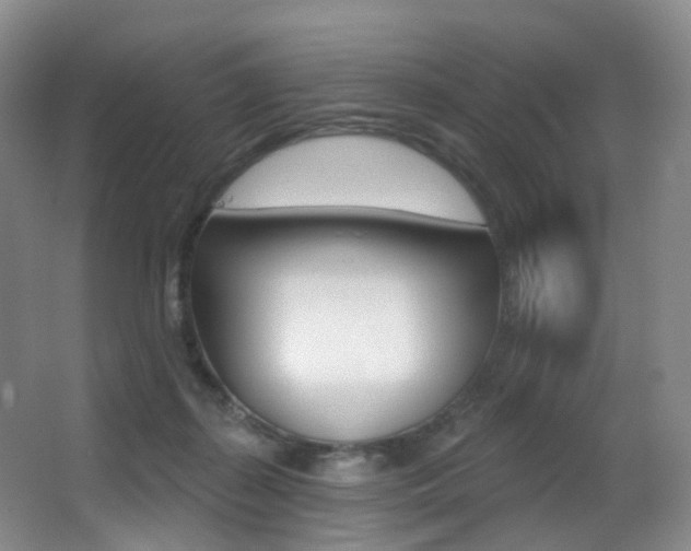 X0000062860267200601130955