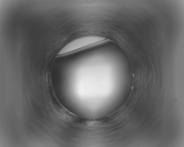 X0000062860268200601130955