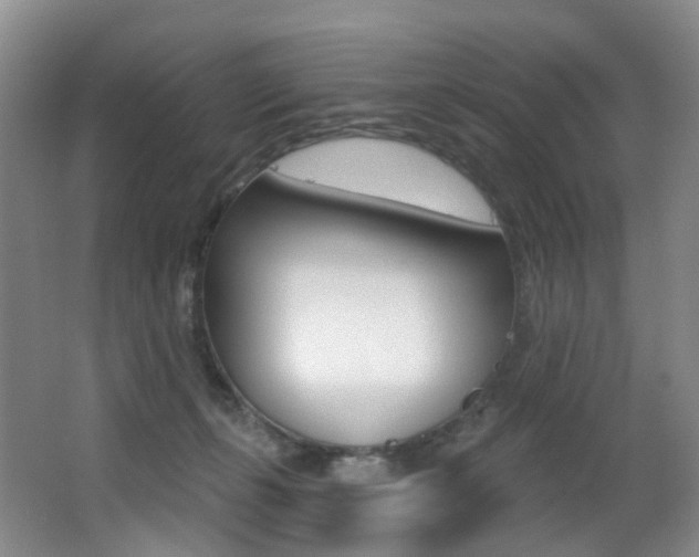 X0000062860271200601130956