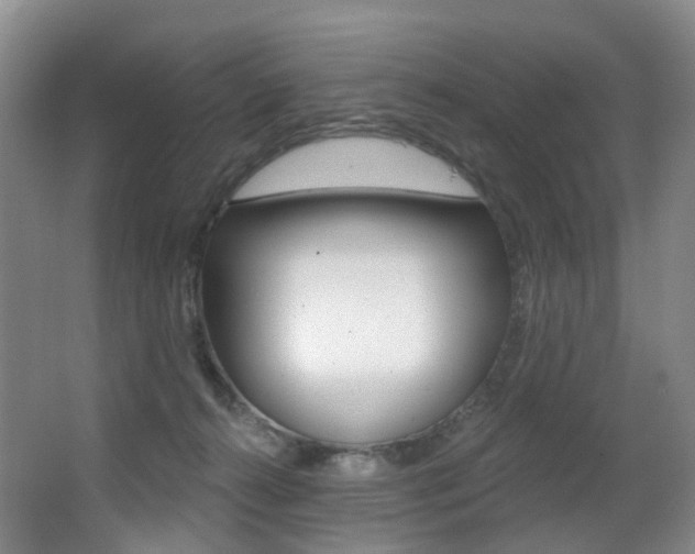 X0000062860272200601130956