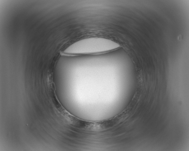 X0000062860276200601130956