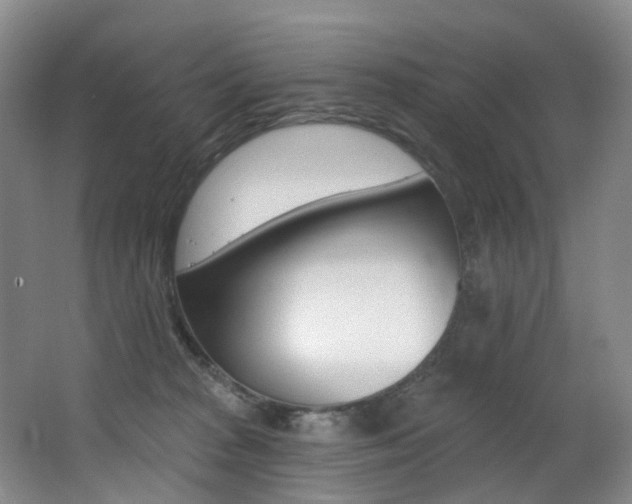X0000062860277200601130956