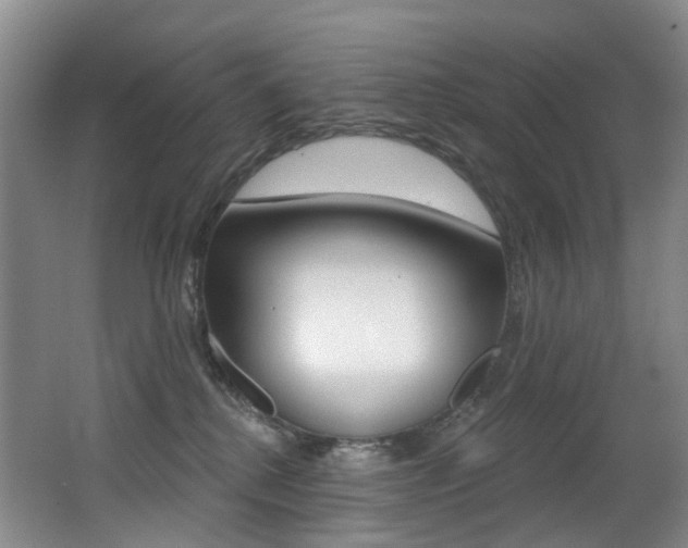 X0000062860280200601130956