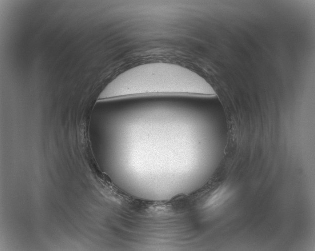 X0000062860283200601130956