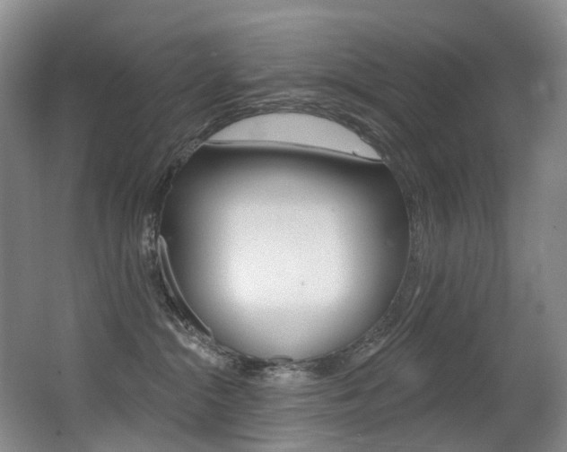 X0000062860284200601130956