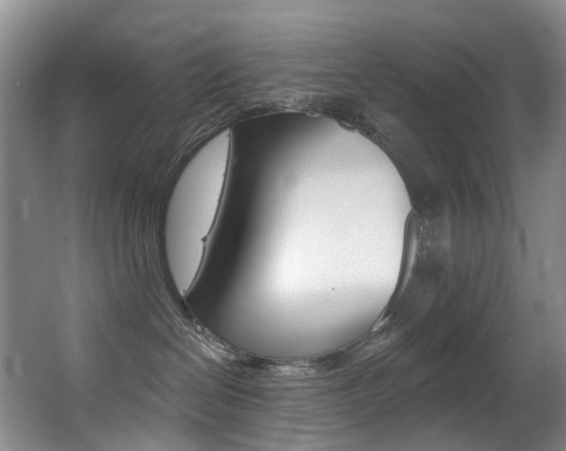 X0000062860286200601130956