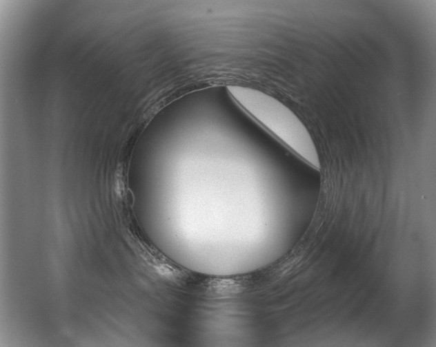 X0000062860287200601130956