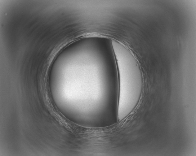 X0000062860289200601130955