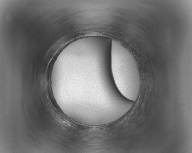 X0000062860290200601130955
