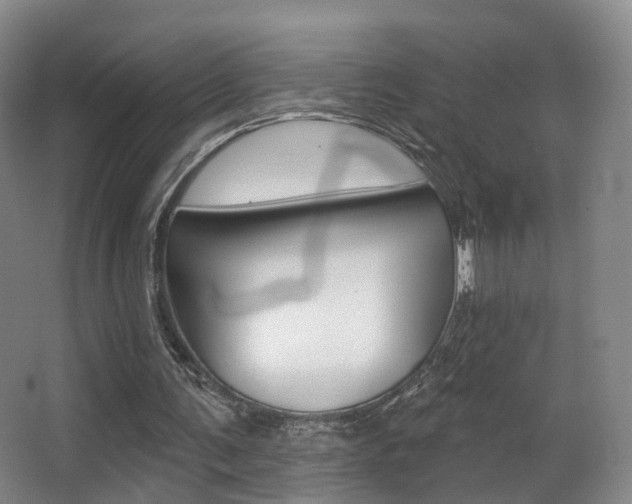 X0000062860291200601130955