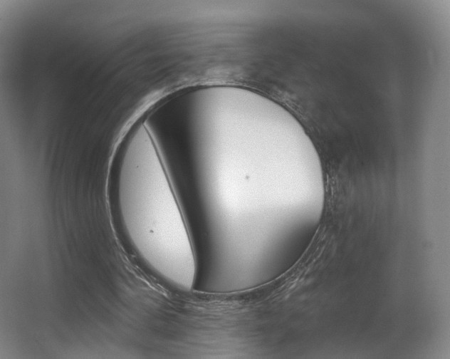 X0000062860292200601130955