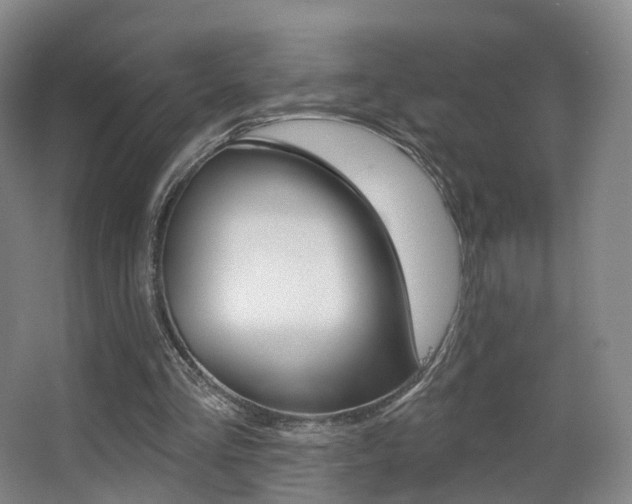 X0000062860293200601130955