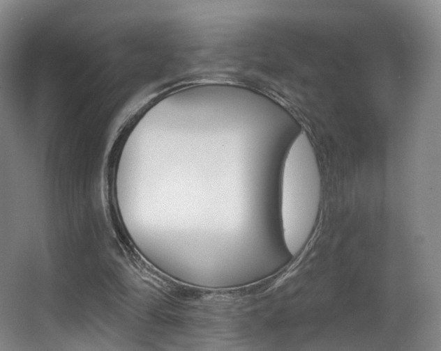 X0000062860294200601130955