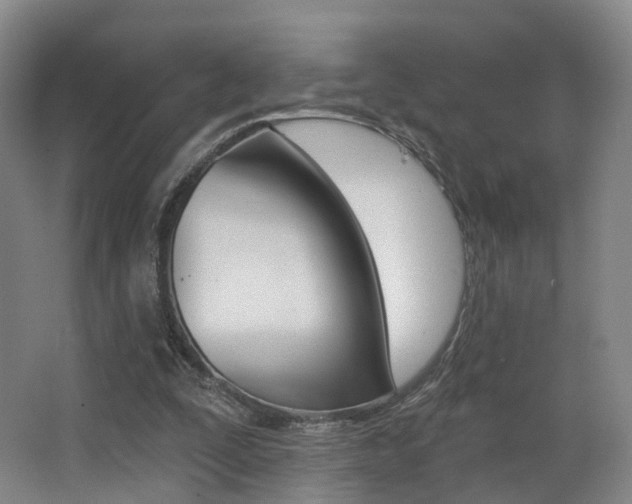 X0000062860295200601130955