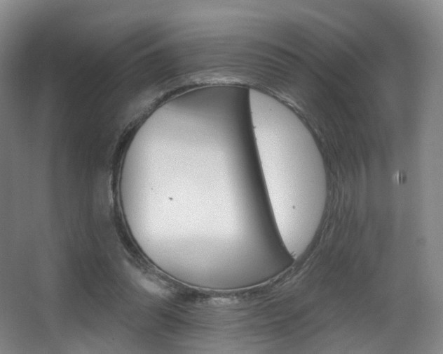 X0000062860302200601130955
