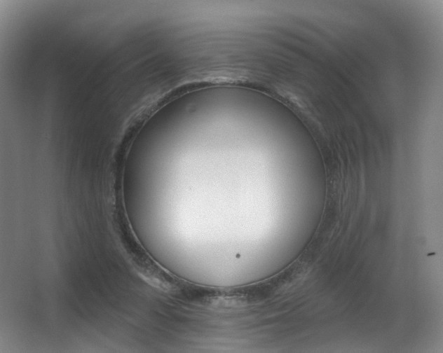 X0000062860303200601130955