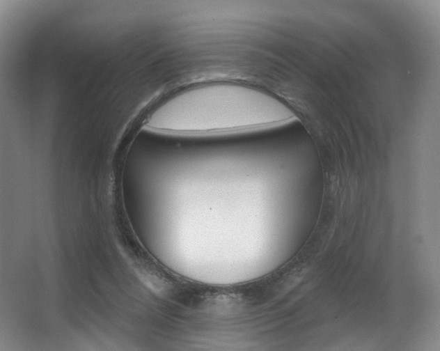 X0000062860304200601130955