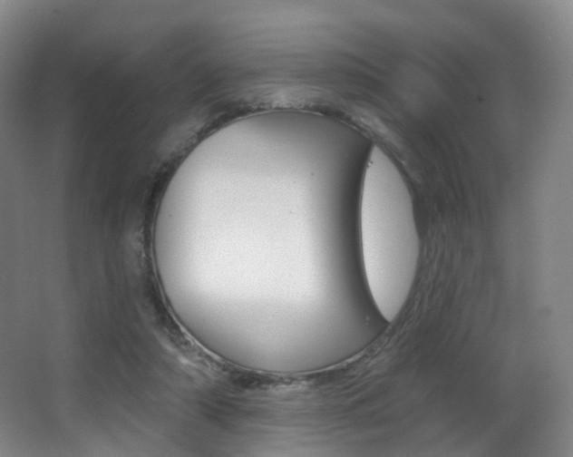 X0000062860306200601130955