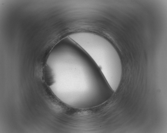 X0000062860307200601130955
