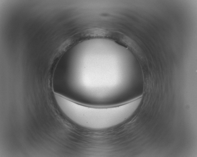 X0000062860309200601130955