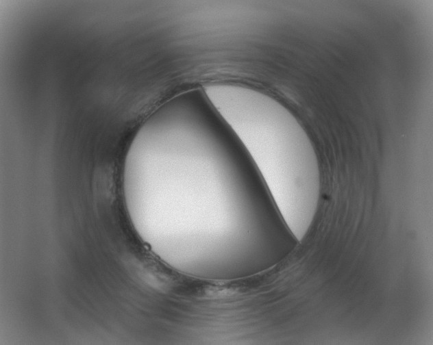 X0000062860311200601130955