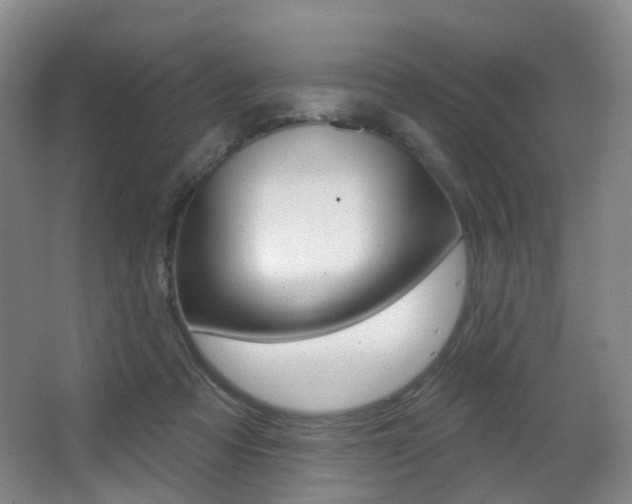 X0000062860313200601130955