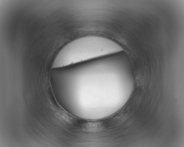 X0000062860314200601130955