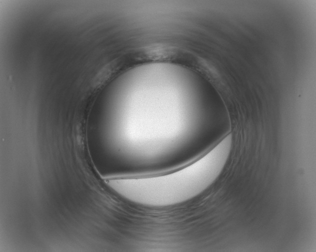 X0000062860317200601130955