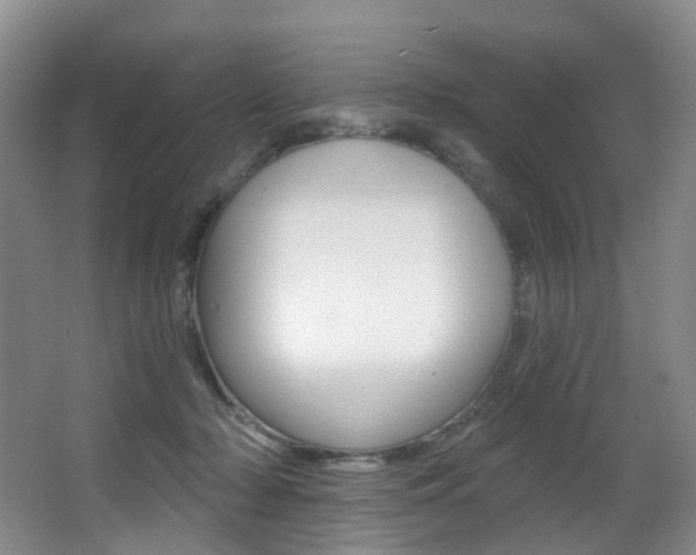 X0000062860318200601130955