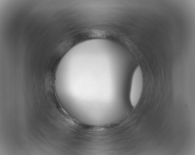 X0000062860322200601130954