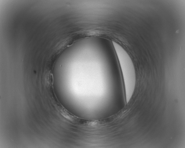 X0000062860325200601130954