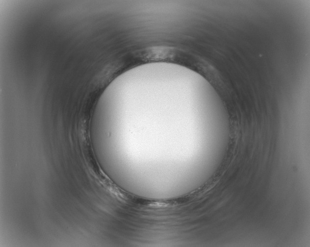 X0000062860326200601130954