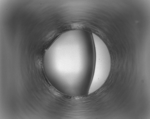X0000062860329200601130954