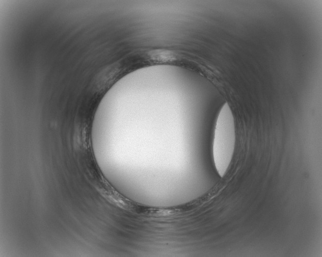 X0000062860330200601130954