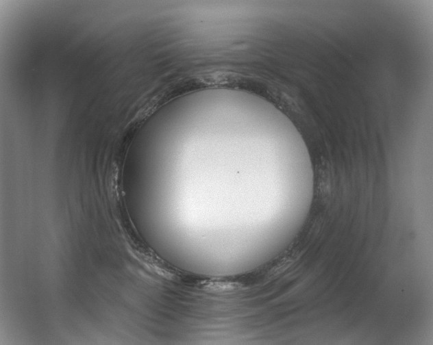 X0000062860332200601130954